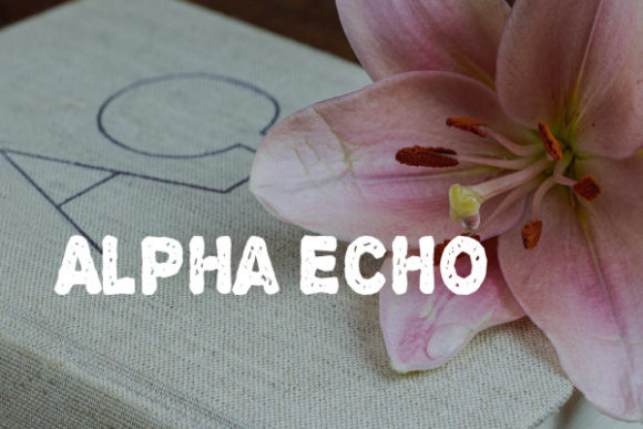 Alpha Echo: A Display Typeface with a Unique Shredded Aesthetic